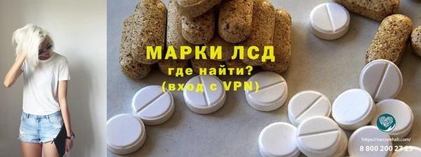 spice Каменка