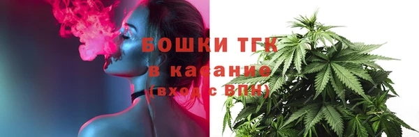 spice Каменка