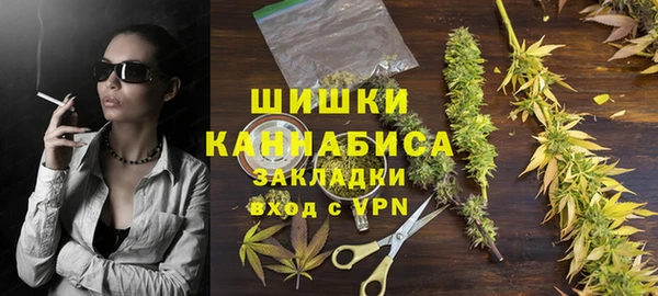 spice Каменка