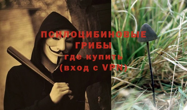 МДПВ Зеленодольск