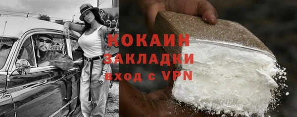 spice Каменка