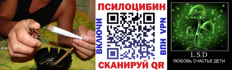наркотики  Черняховск  Псилоцибиновые грибы ЛСД 